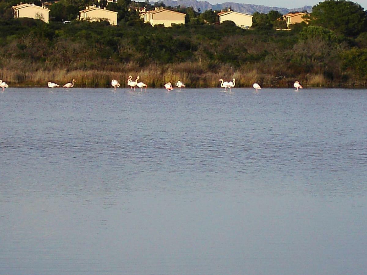 Vista Baia Blu Apartment Budoni Bagian luar foto